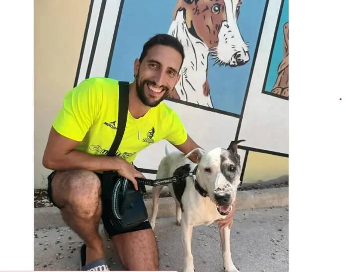 Thor, un perro mayor de pelaje claro, recostado sobre una cama de hotel con expresión relajada y feliz, disfrutando de su estadía en el Nobu Hotel Ibiza Bay.