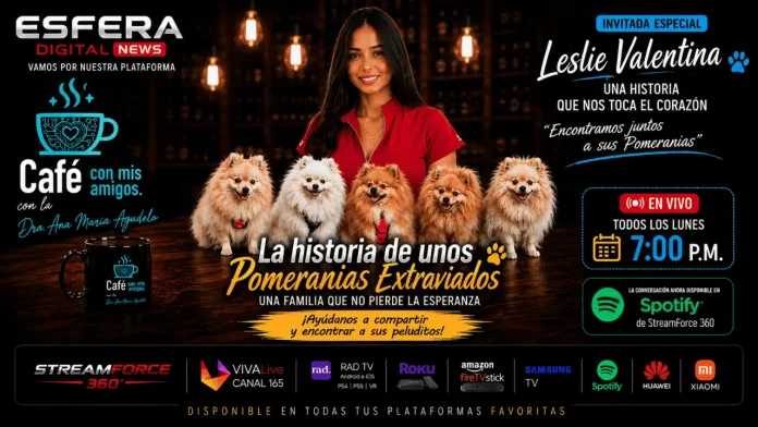 Leslie Valentina busca sus perritos Pomerania extraviados en programa de la Red StreamForce 360